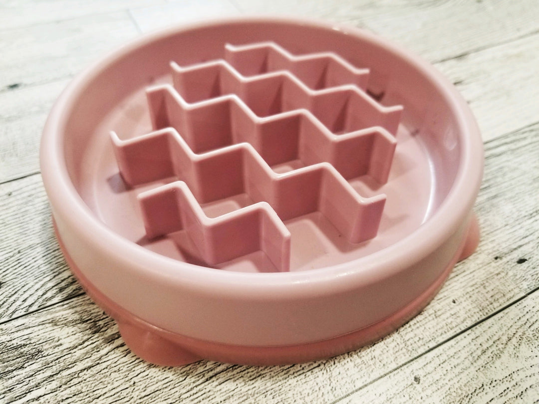 Mauve Slow Feeder