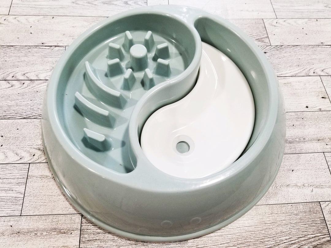 Mint Green Slow Feeder/Water Bowl- Extra Large