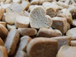 Wholesale Bulk Treats