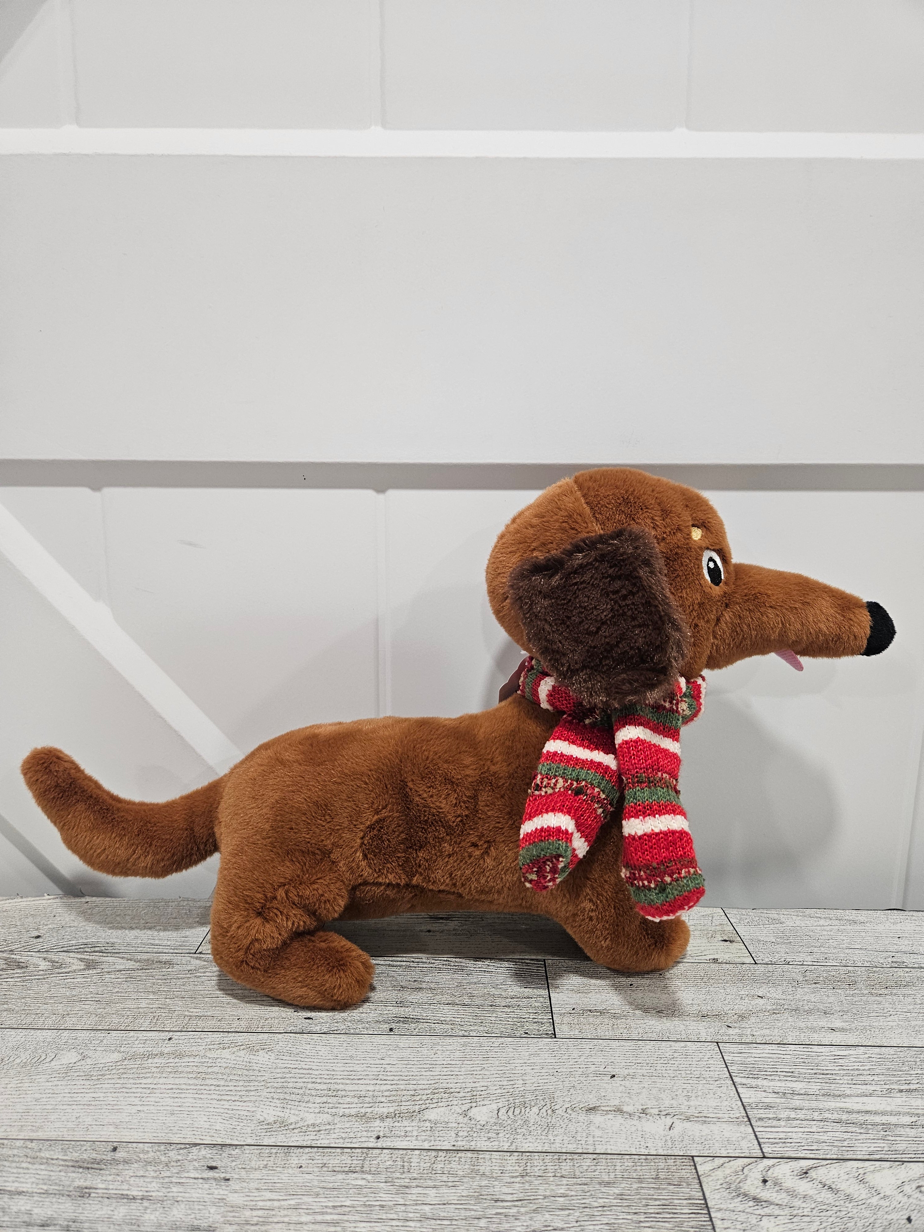 Doggie with scarf