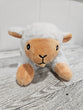 Small sheep