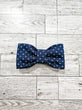 Blue Maxxibows