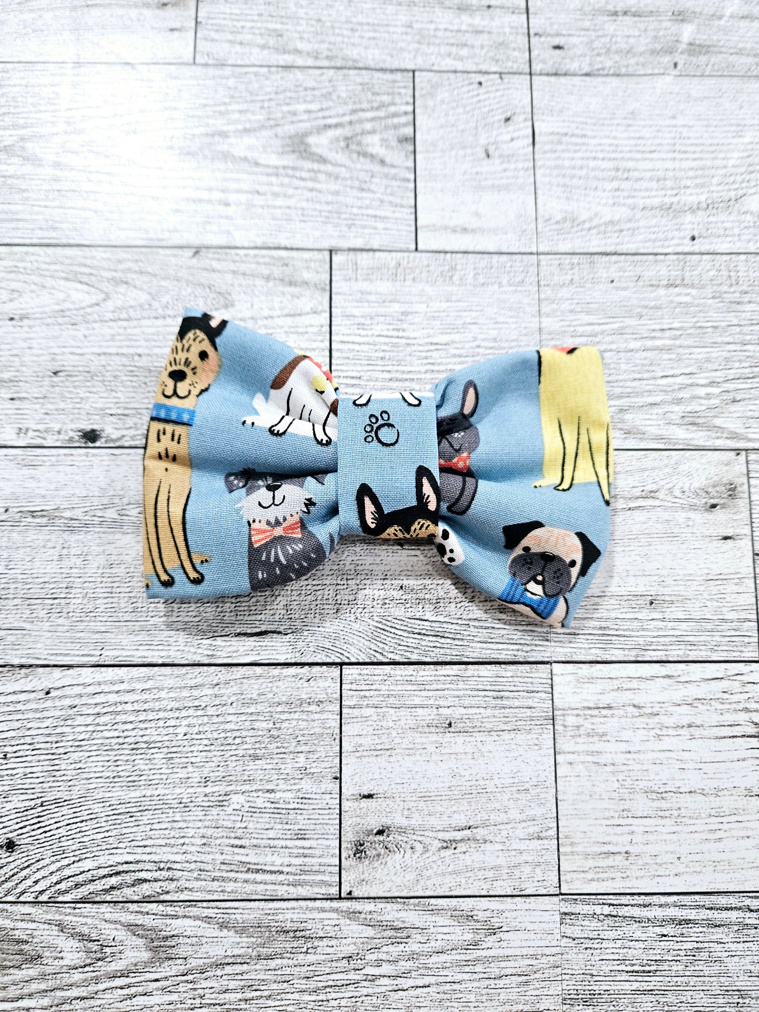 Dogs Blue Maxxibows