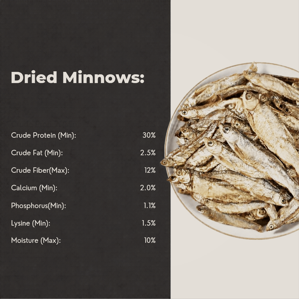 Maxxi Minnows