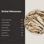 Maxxi Minnows