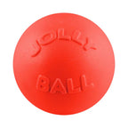 Jolly Pets Bounce and Play