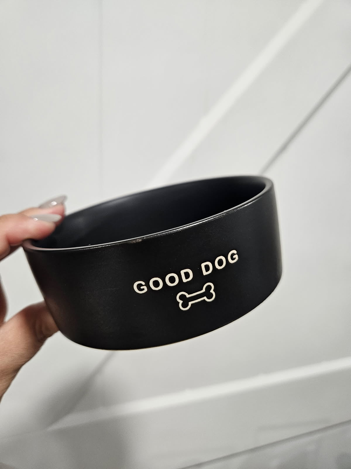 Ceramic Dog Bowl