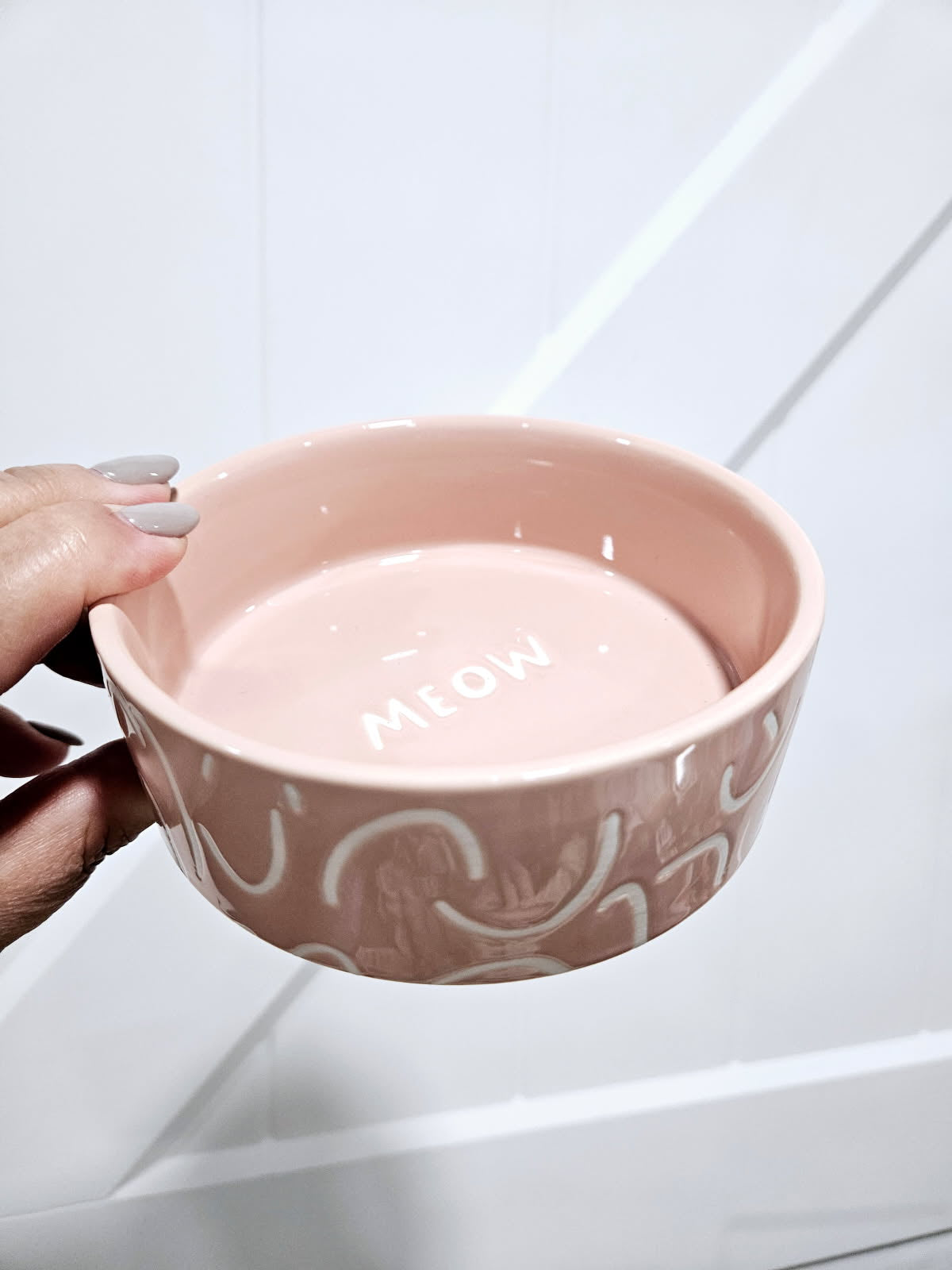 Ceramic Cat Bowls