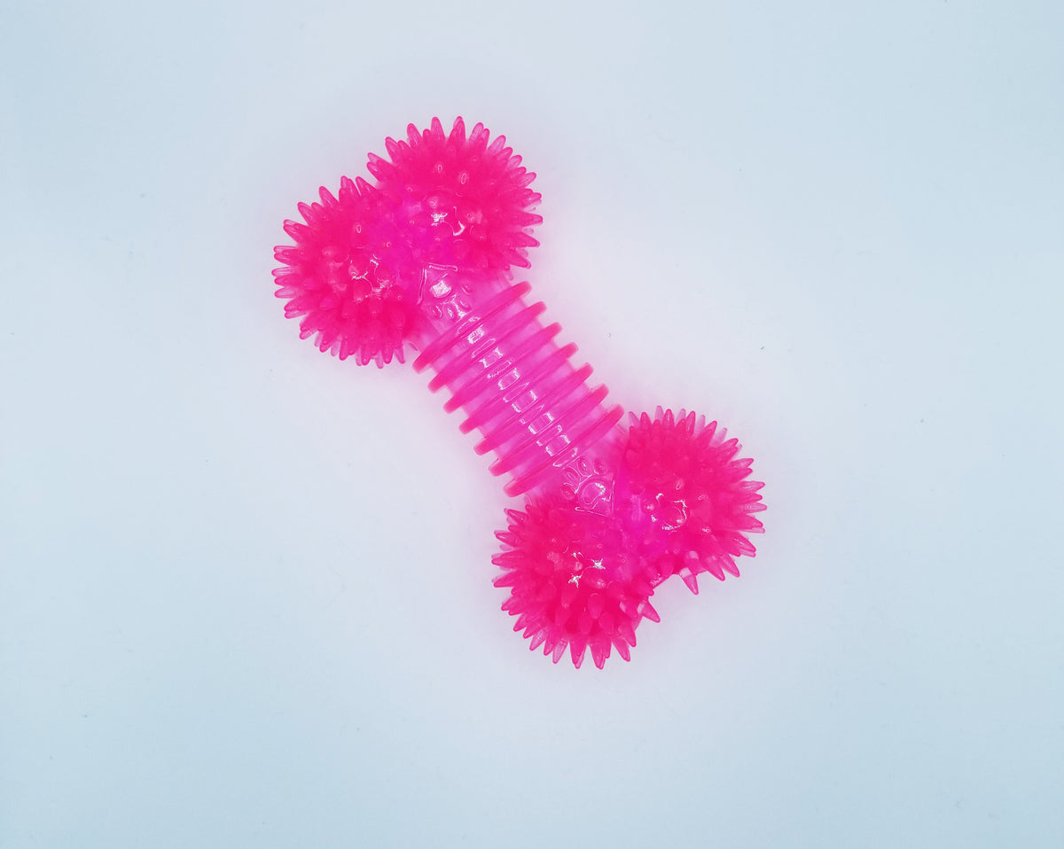 Rubber Chew Toy